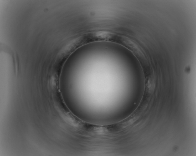 X0000093090424200709261233