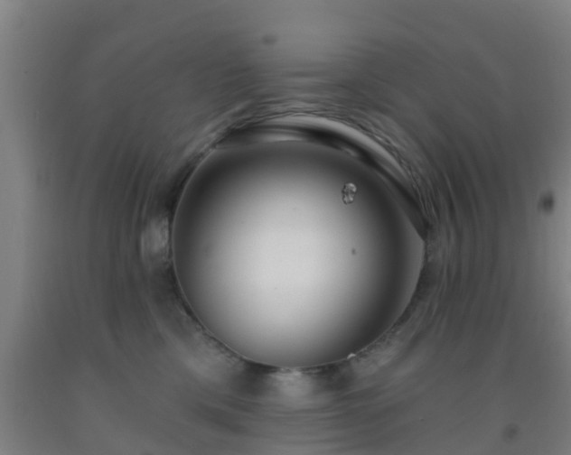 X0000093090425200709261233
