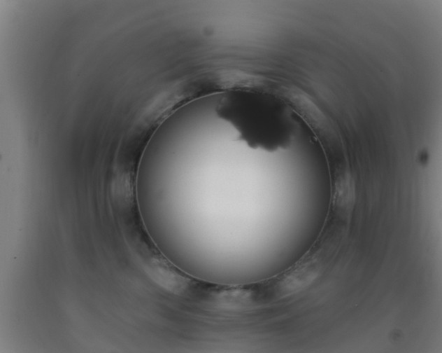 X0000093090426200709261233