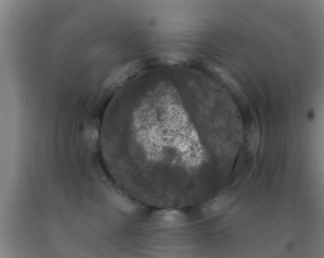 X0000093090427200709261233