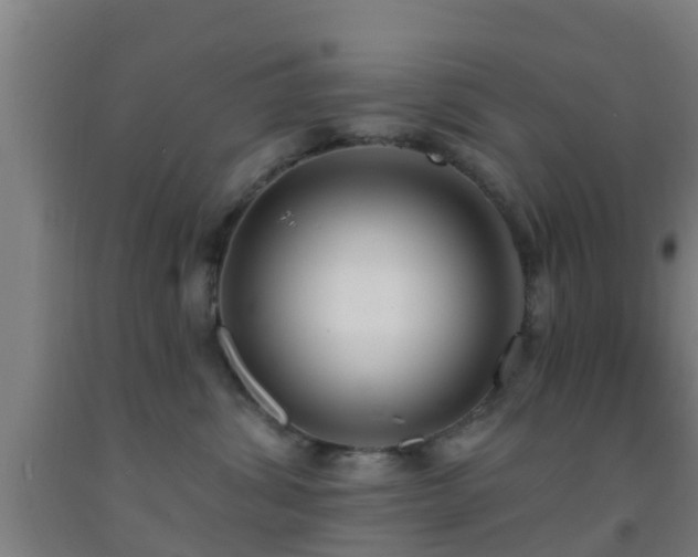 X0000093090428200709261233