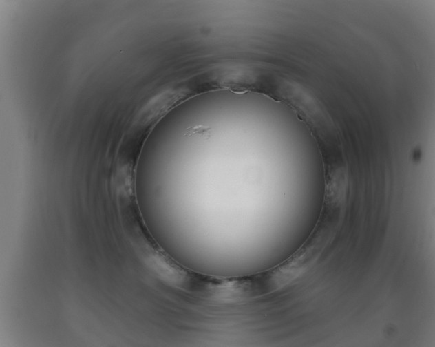 X0000093090430200709261233