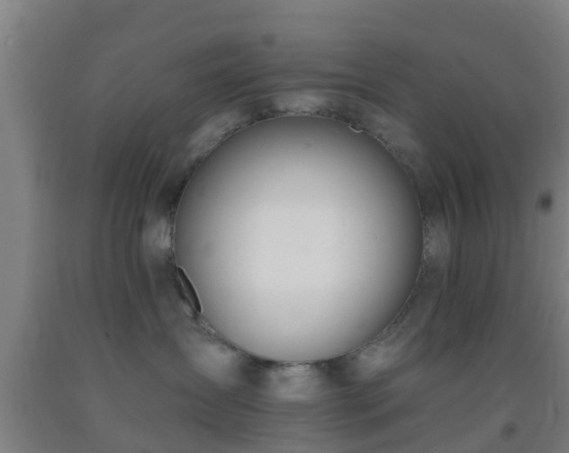 X0000093090431200709261233
