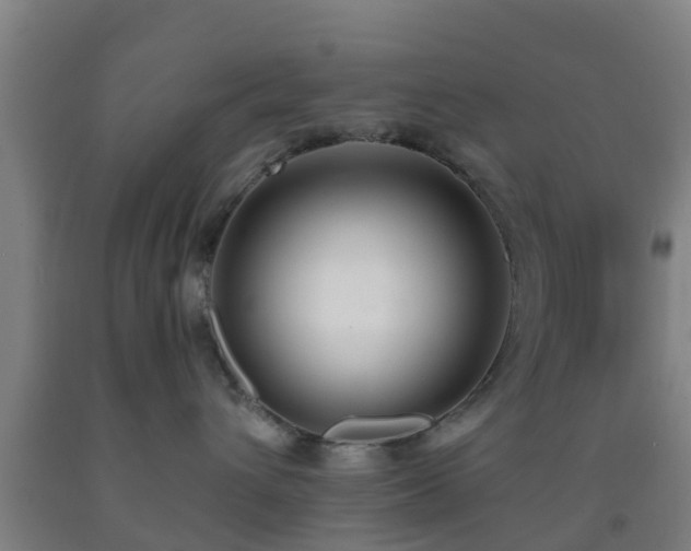 X0000093090432200709261233