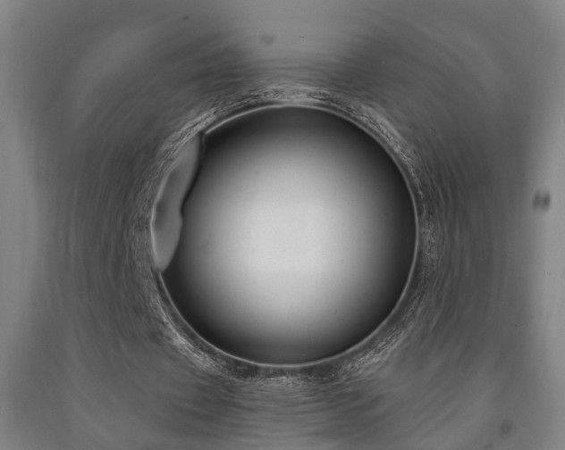 X0000093090433200709261232