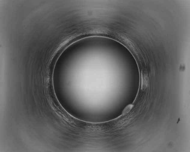 X0000093090435200709261232