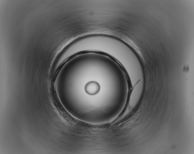 X0000093090436200709261232
