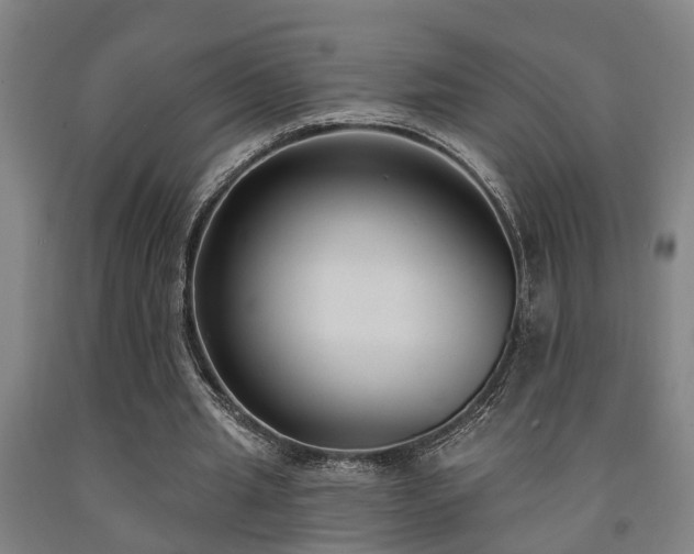 X0000093090437200709261232