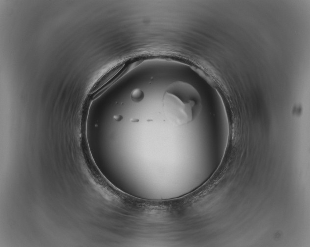 X0000093090438200709261232