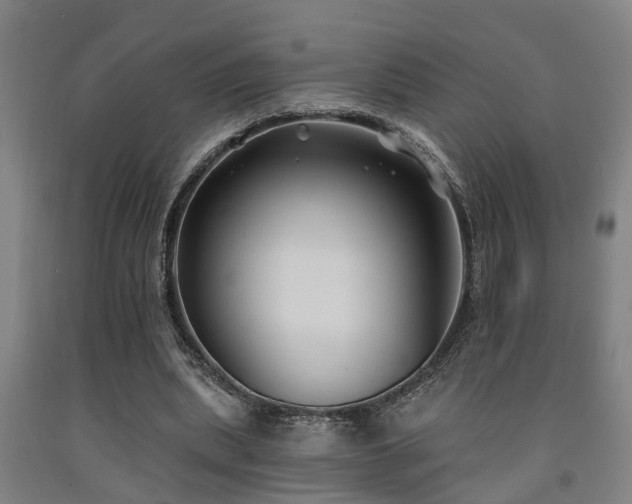 X0000093090439200709261232