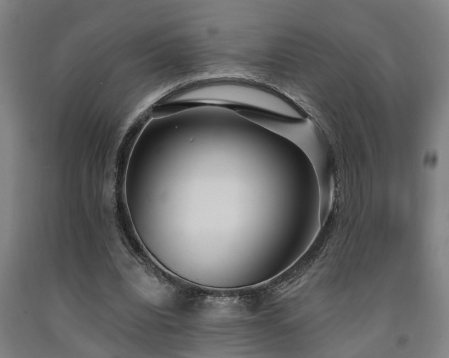 X0000093090440200709261232