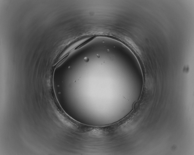 X0000093090441200709261232