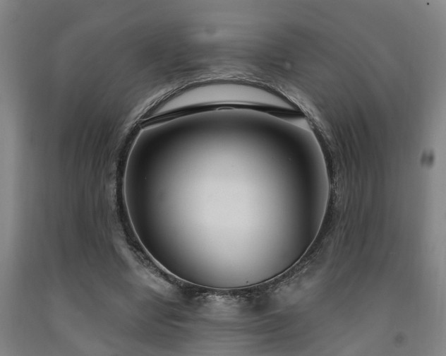 X0000093090442200709261232