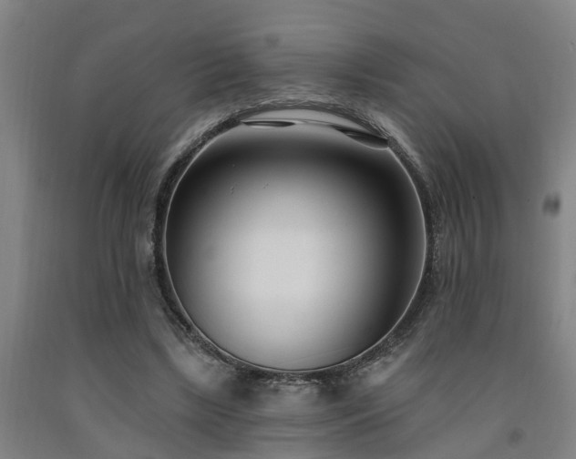 X0000093090443200709261232