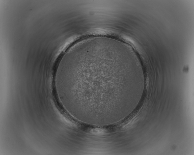 X0000093090444200709261232