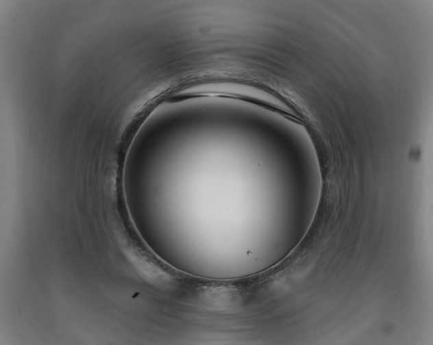 X0000093090446200709261232