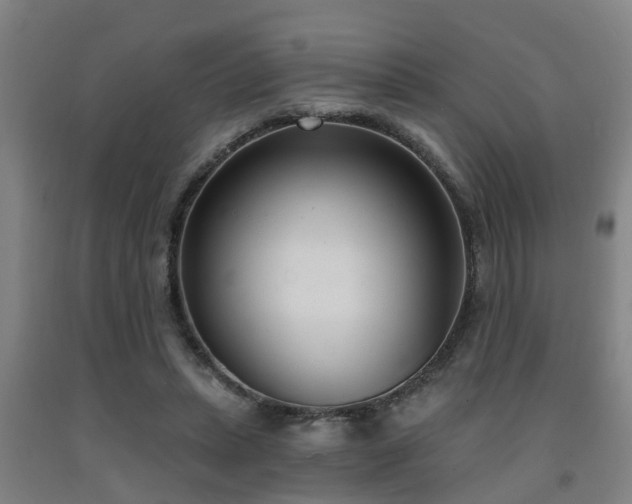 X0000093090447200709261232