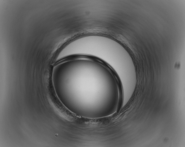 X0000093090448200709261232
