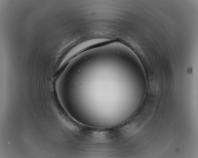 X0000093090450200709261232