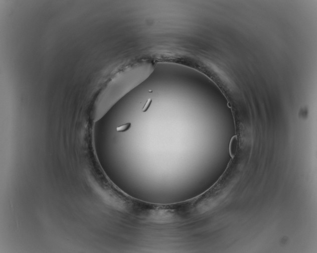 X0000093090451200709261232