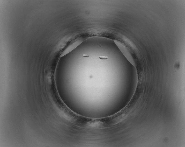 X0000093090452200709261232