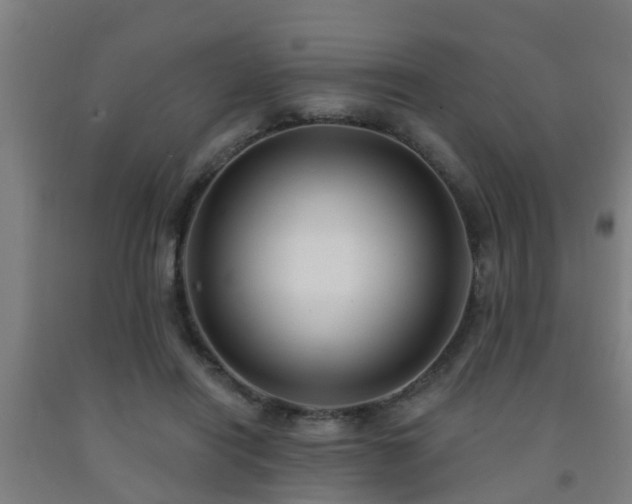 X0000093090454200709261232