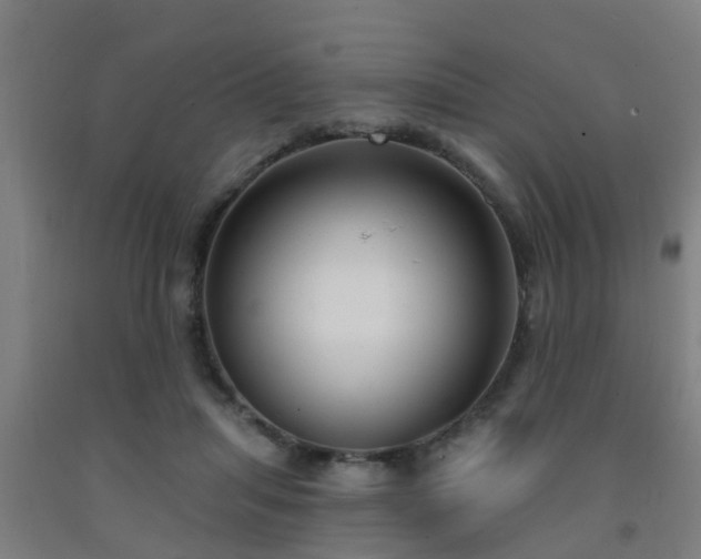 X0000093090455200709261232