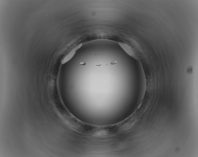 X0000093090456200709261232