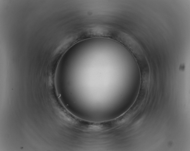 X0000093090457200709261232