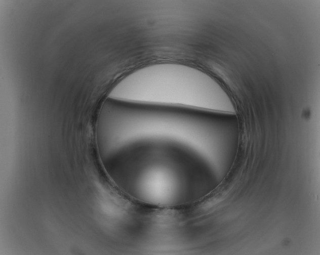 X0000093090459200709261232