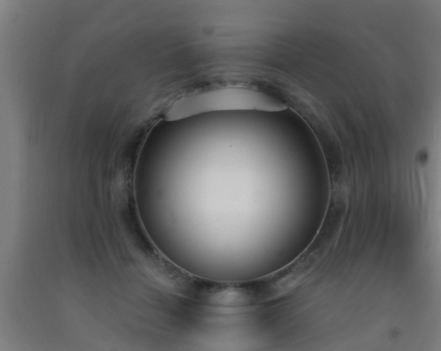 X0000093090460200709261232