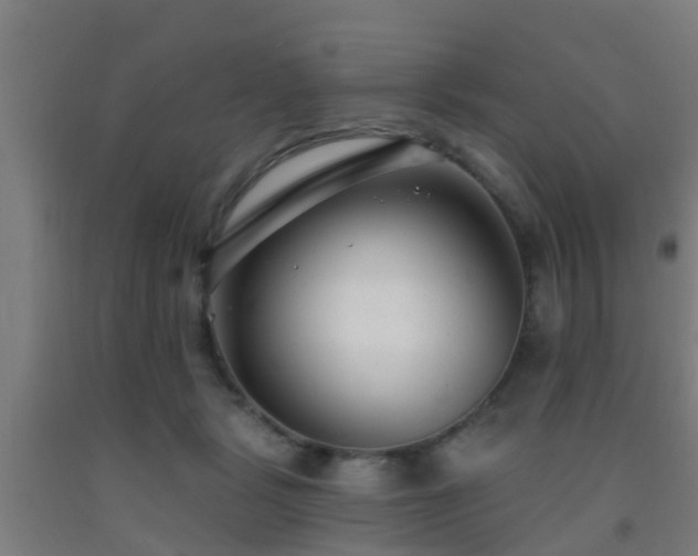 X0000093090461200709261232