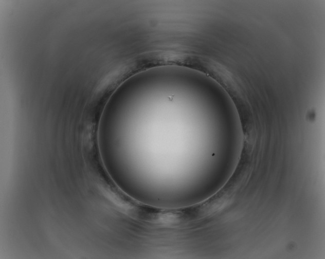 X0000093090462200709261232
