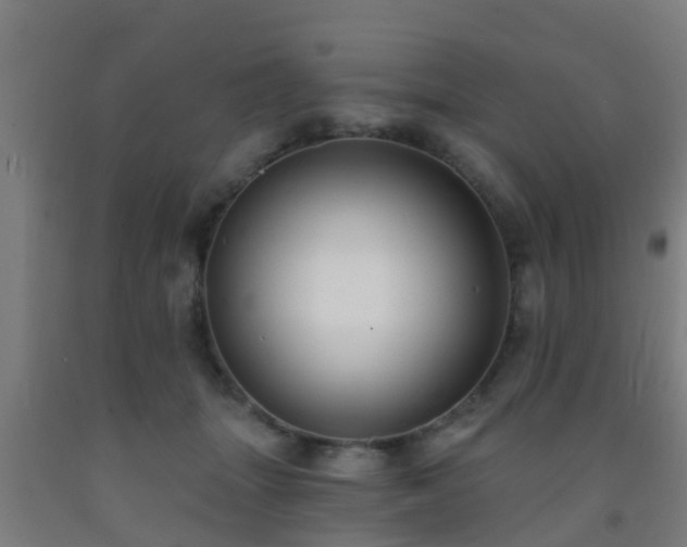 X0000093090463200709261232