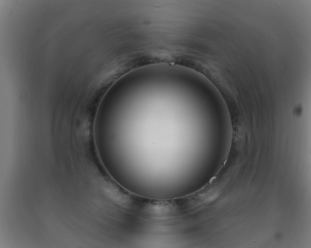X0000093090466200709261232