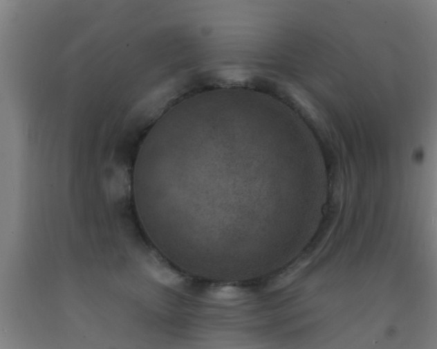 X0000093090467200709261232