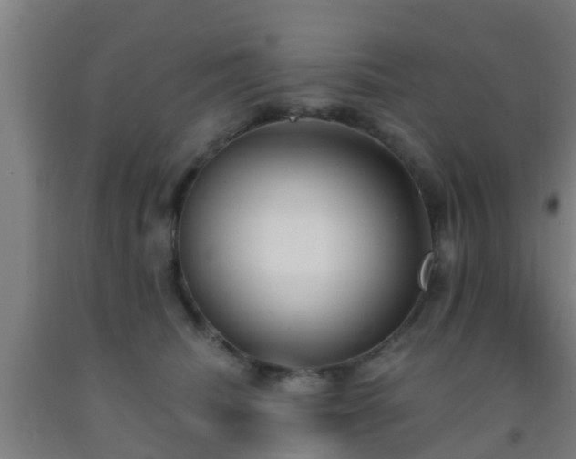 X0000093090468200709261232
