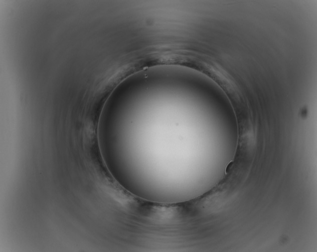 X0000093090469200709261232