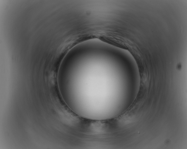 X0000093090470200709261232