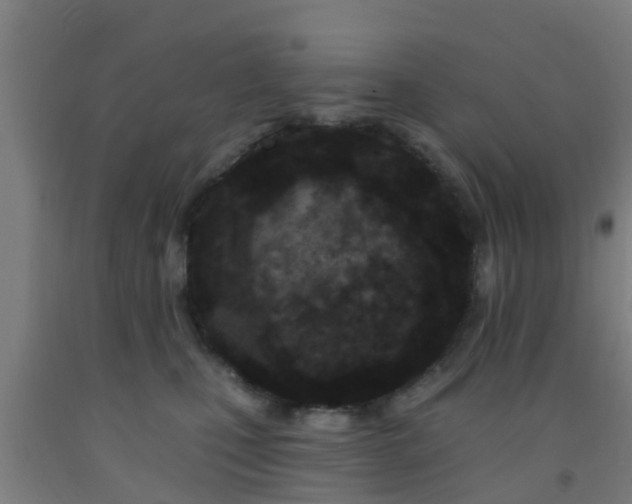 X0000093090471200709261232