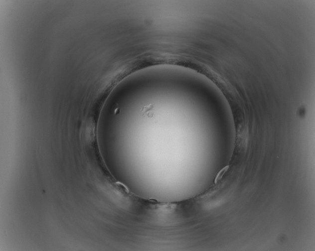 X0000093090474200709261232