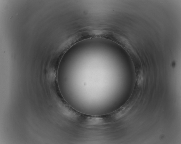 X0000093090476200709261232