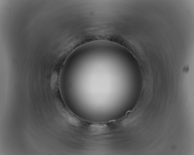 X0000093090480200709261233