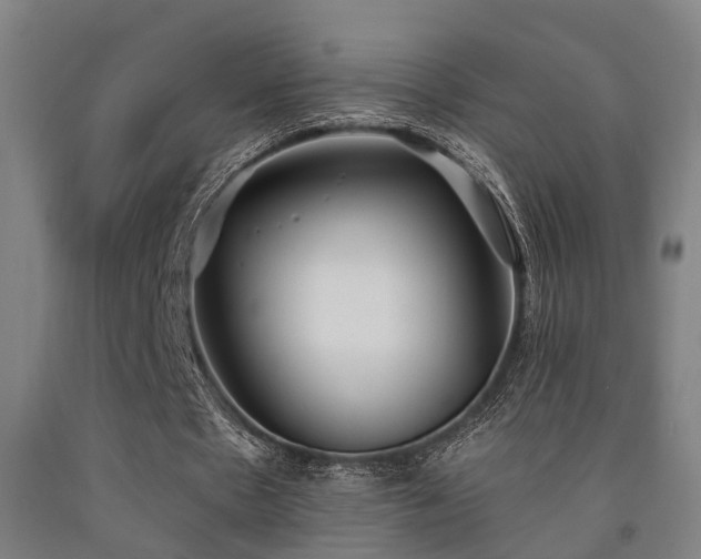 X0000093090481200709261232