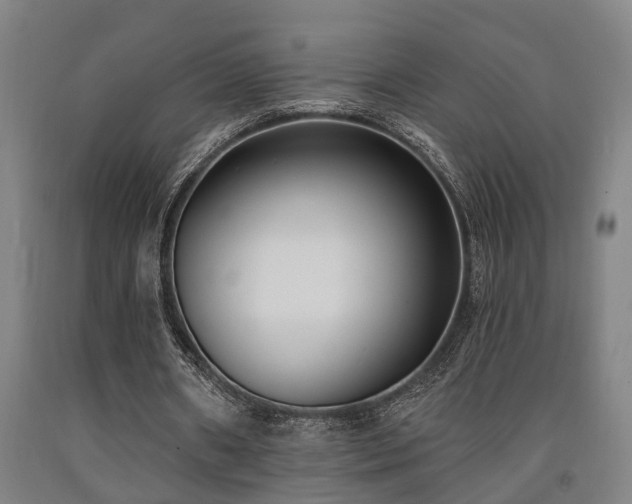 X0000093090482200709261232