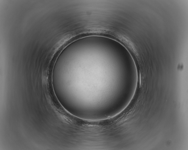 X0000093090483200709261232