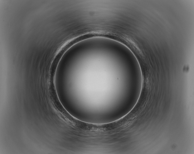 X0000093090484200709261232