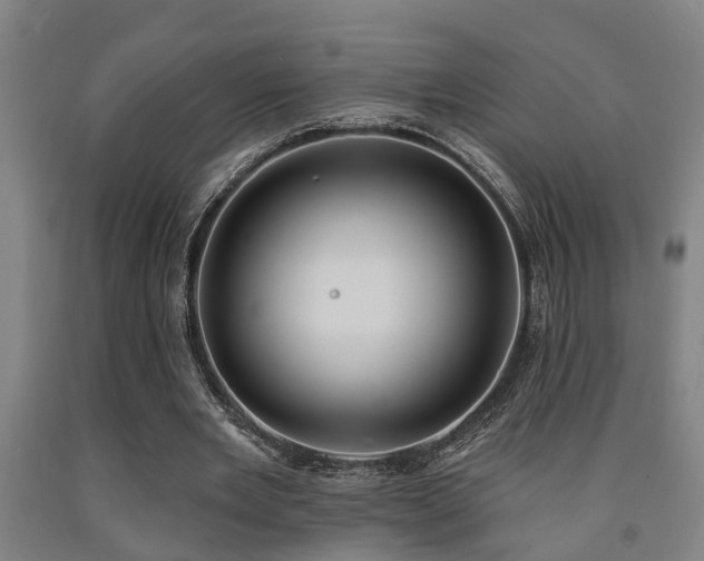 X0000093090485200709261232