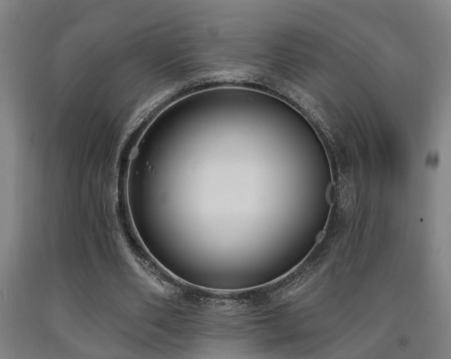 X0000093090486200709261232