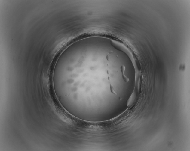 X0000093090487200709261232